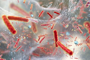 Bacteria inside bio-film illustration