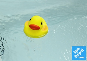 rubber duck happily floating in spa